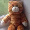 amy rowlands - @amy.rowlands11 - TikTok