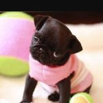 @amy_royal_ - Instagram