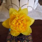 Amy Auer Ruff - Facebook