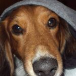 Amy Napoli-Ruggles - @napscorner - Instagram