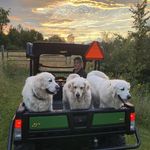 Amy Ruggles Bracken - @amyrugglesbracken - Instagram
