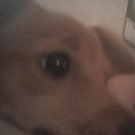 amymarieruggles - @amy.ruggles76 - Instagram
