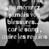 Amy - @amysaintamoure - TikTok