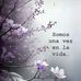 Amy San - Facebook