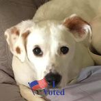 Amy Sand Gainer - Facebook