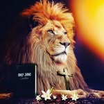 Amy Jane Sandberg - @amyjanesandbergauthor - Instagram