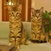 Amy Austin Schade - Facebook
