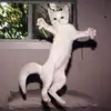 amyschadewald - @amyschadewald - TikTok