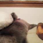 Amy - @amy_schaffer_03 - Instagram