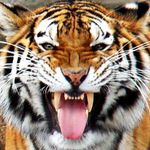 Amy Schaffer - @amy44e1969 - Instagram