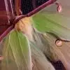 Amy Schaffer - @amy.schaffer1 - TikTok