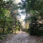 Amy Scherer - @amy.scherer.54 - Instagram