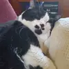 Amy Scheiwe - @amyscheiwe - TikTok