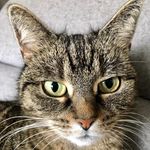 Amy Schindler - @as2005208 - Instagram