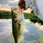 Amy Schindler - Facebook