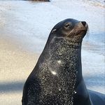 Amy Freund Schlueter - @aschluetermom - Instagram