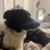 amyschultz932 - @amyschultz932 - TikTok