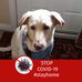 Amy Scriver - Facebook