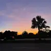 Amy Serrano - @whotfisamy.y - TikTok