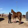 Amy Serrano - @htserrano - TikTok