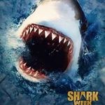Amy Sharkey - @thesharkmom - Instagram