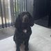 Amy Sharkey - Facebook