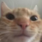 ᵃᵃ - @amysheadisempty - Instagram