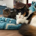 Amy & Sheldon - @amyandsheldon - Instagram