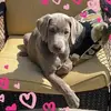 amysheldon539 - @amysheldon539 - TikTok