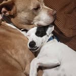 Amy Shell - @amy.shell.585 - Instagram
