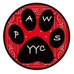Amy Shipley - @paws_yyc - Instagram
