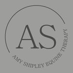 Amy Shipley BSc(hons), EMAP - @as_equinetherapy - Instagram