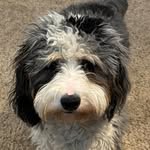Amy Shipman-Beaverson - @abeaverson17 - Instagram