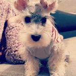Amy Shortt - @amyandjerry123 - Instagram