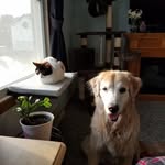 Amy Shuler - @amyshulerrn - Instagram