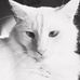 Amy Shuler - Facebook