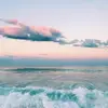amysilber - @amysilber - TikTok