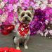 Amy Sinclair - Facebook