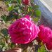 Ami Prbashi Siddik - Facebook