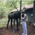 Amy Skolnick - Facebook