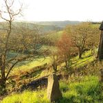 Amy Thorpe - @amy.j.smethurst - Instagram