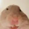 .amy.smith - @.amy.smith - TikTok