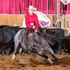 AmySmith_C4CuttingHorses - @amysmith_c4cuttinghorses - TikTok