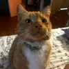 Rivergurl - @amysmith3848 - TikTok