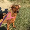 Amy_soares - @amy_soares - TikTok