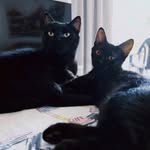 Amy y Kiwi Soares - @amykiwi_102 - Instagram