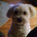 Amy Sova - Facebook