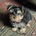 Amy Sova - Facebook