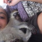 Amy Spanos - @amyspanos - Instagram