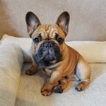 Amy Speight - @amysp8 - Instagram